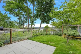Backyard with View
