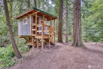 Tree house & zipline.