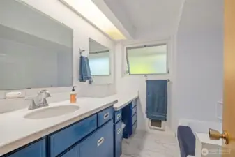 Full guest bath with new Bath Fitter bath/shower.
