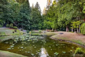 All this beauty comes with your Ambleside HOA! This, plus 5 acres of walking trails!
