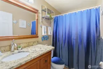 Lower level full bathroom