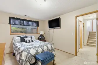 Lower level,  bedroom #4