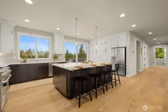 Main level gourmet kitchen with high-end appliances, quartz countertops, and ample countertop and cabinet space.