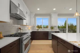 Main level gourmet kitchen with high-end appliances, quartz countertops, and ample countertop and cabinet space.