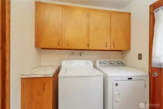 Laundry Area With Storage Cabinets and Door to Backyard to RIght