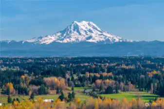 Amazing Mt Rainier view