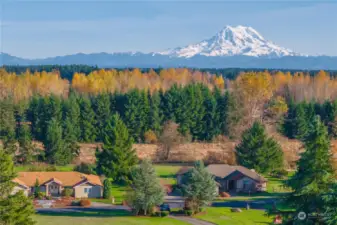 Mt Rainier