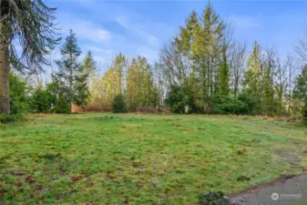 Level lot with flat terrain, unobstructed views. Treea are on the bluff.