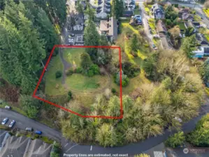 Amn aerial view showing the front bluff, and treed property on either side.