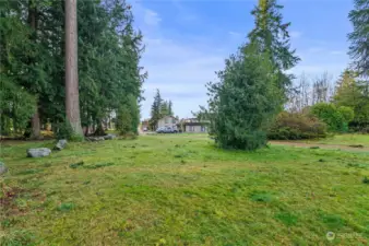 Looking to the entrance of the property facing South. Terrace Park on left. Monkey tree on right.Townhomes on the driveway access.