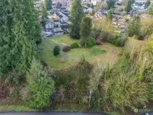 The bluff is on North side. A circle drive with Monkey puzzle tree just off center. Property line up to trees on right side and trees on left.