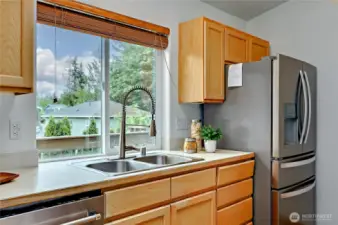 Window overlooking backyard.