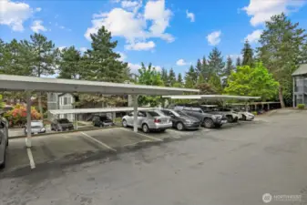 1 Assigned Carport and 1 free space