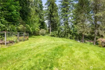 Walking Trails