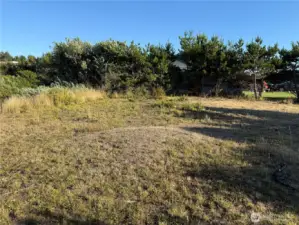 Oversized lot ready to develop.