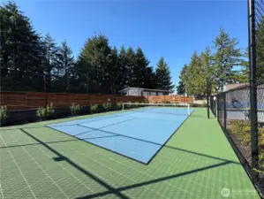 Pickleball/Tennis/Badminton