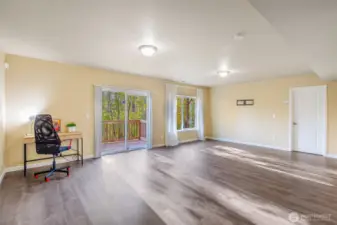 Gigantic living room downstairs, finished basement