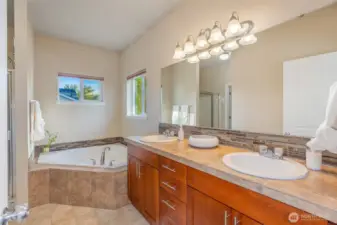 Upstairs primary bath suite