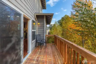 Brand new deck from main floor