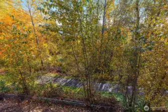 Trails from the deck view