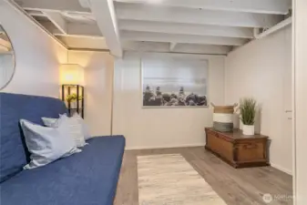 Secondary room on the lower level