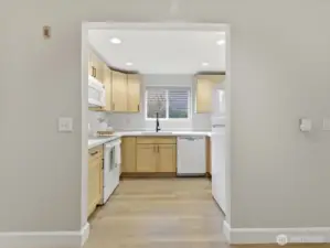 New Countertops, Cabinets and Refrigerator