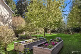 The backyard is master gardener quality and has breathtaking trees.