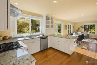 Lovely kitchen with Wolf range, S/S appliances, and SUNSHINE.