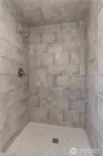 Primary Bedroom Shower