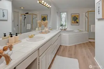 Full en-suite bathroom off the primary with soaking tub, free standing shower and walk-in closet
