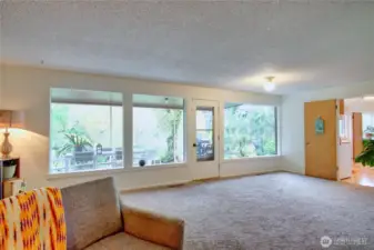 View from family room