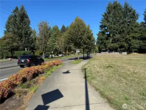 Looking down Littlerock Rd