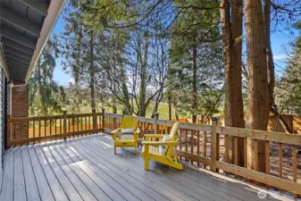 An expansive entertainment sized deck with new all weather treads overlooks the private backyard and neighboring park.