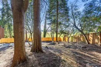 The private backyard boasts a brand new fence on the south side of the lot, mature trees with paths and plenty of room to roam.