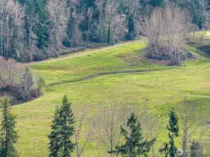 Expansive Taylor Fields park, direct access from this home with wonderful walking paths.