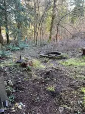 Fire pit to gather around and roast smores