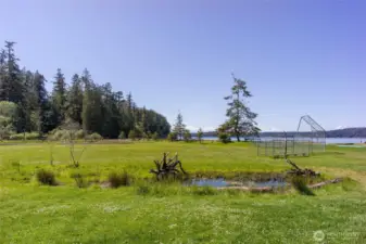You can camp, play ball, go for a hike, launch a boat or just enjoy the beach at Odlin Park.