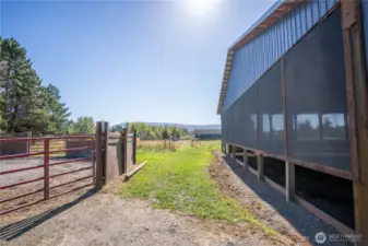 Upper back area behind the arena.