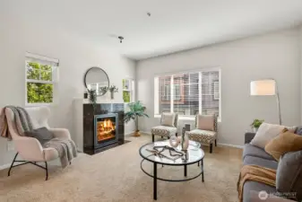 Electric fireplace.