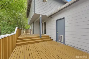Newly painted deck + some new boards