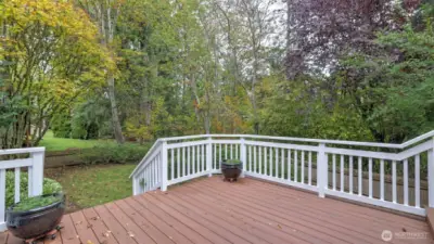 This is the 2nd tier of the deck.  The backyard is fully fenced.