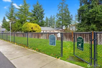Fenced dog play area.