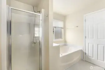 Shower plus soaking tub in primary bath.