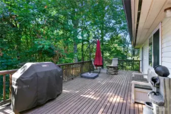 The back deck overlooks a lush green forest.