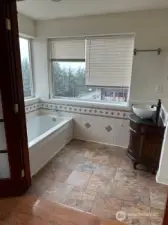 Large in-suite bathroom