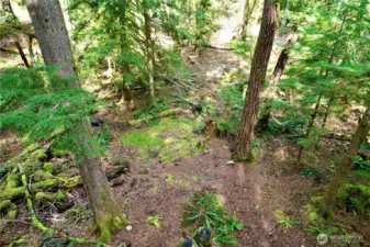 Tons of room to roam and tons of privacy for large groups!