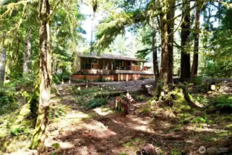 Trails go throughout the property!