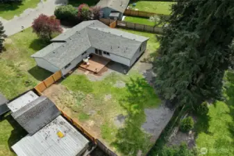 So many possibilities for this back yard.