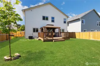 Large back yard.