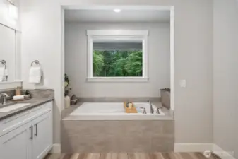 Main Bathroom